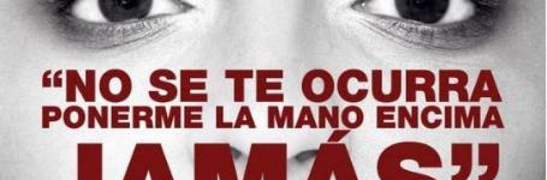El 25 de noviembre: Día Internacional contra la Violencia de Género.