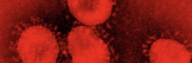 Protocolo Especial Coronavirus